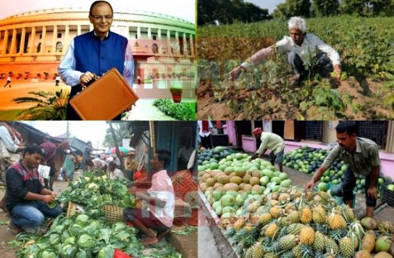 Tripura agro-economy falls off in 2015-16 FY : Tripura Govt failed to utilize Central Govtâ€™s farmer friendly budget, market burning with sky-rocketing price with all imported items 